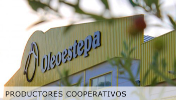 productores_cooperativos_oleoestepa