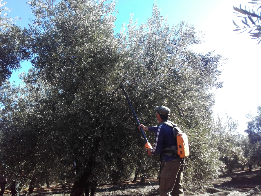 Webinar sobre RIESGOS LABORALES Y SITUACIÓN COVID19 EN EL SECTOR AGRÍCOLA