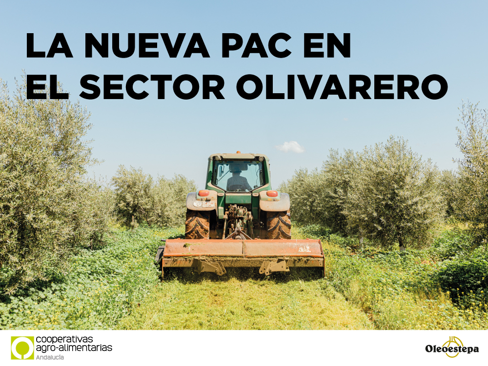 Nueva sesión informativa sobre la PAC en el ámbito del olivar celebrada el 7 de febrero