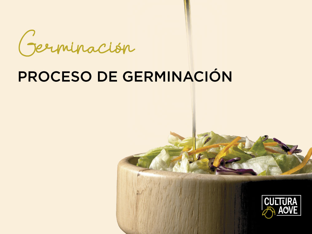 PROCESO DE GERMINACIÓN