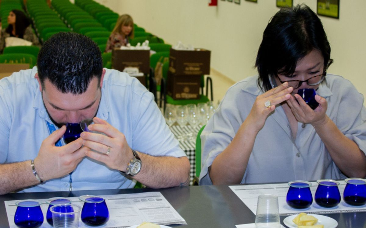 Importers from All Over the World Surrender to the Quality of Oleoestepa’s EVOO