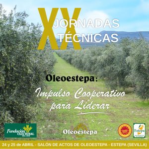XX Jornadas Técnicas