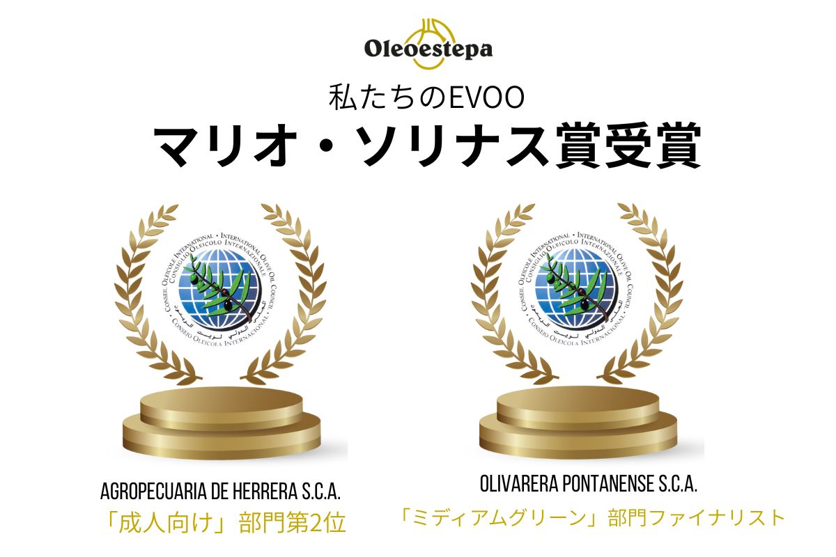 Oleoestepa、2024年マリオ・ソリナス国際オリーブオイル賞で95,000リットル超のAOVEが受賞