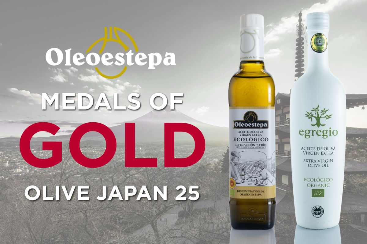 Olive Japan 2025