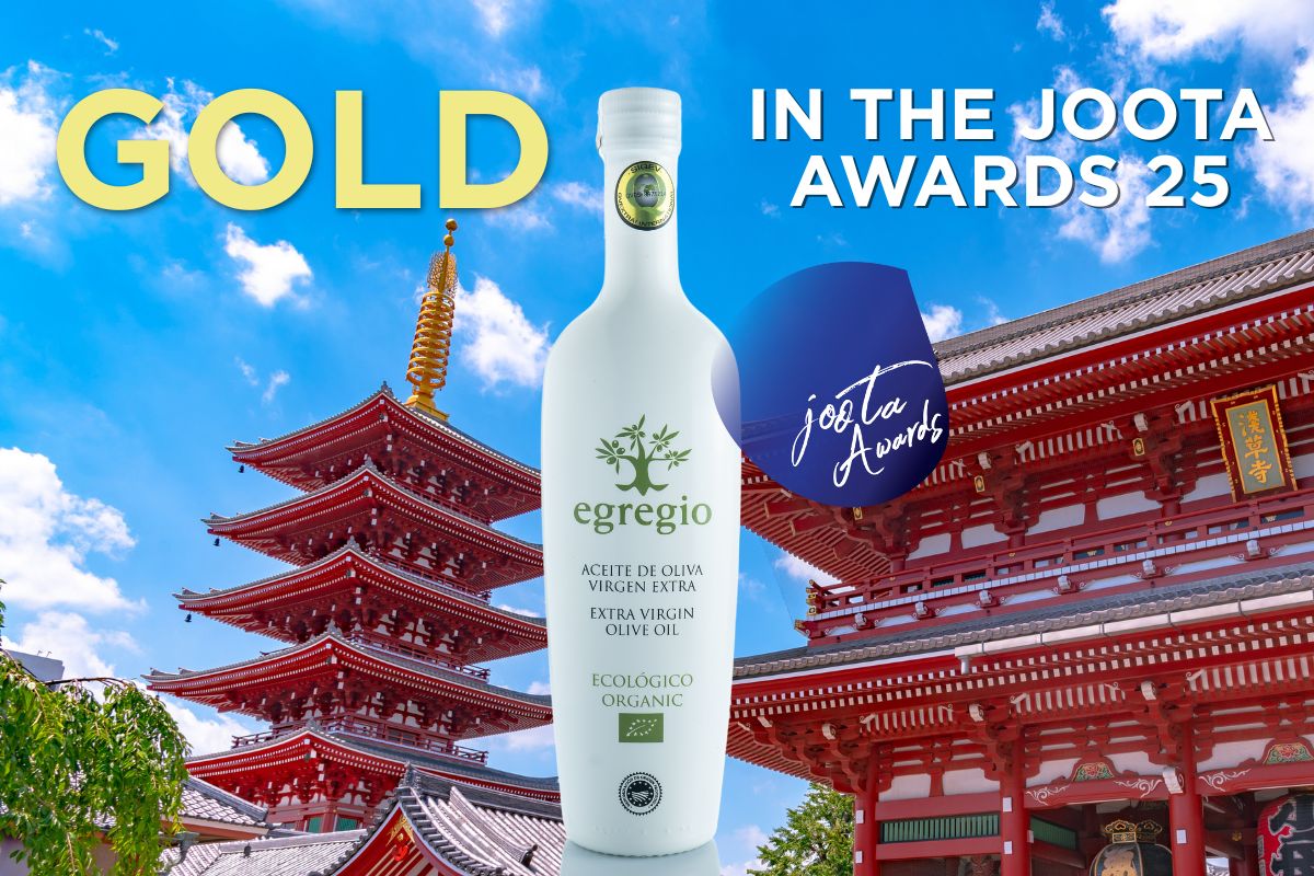 Gold in JOOTA Awards