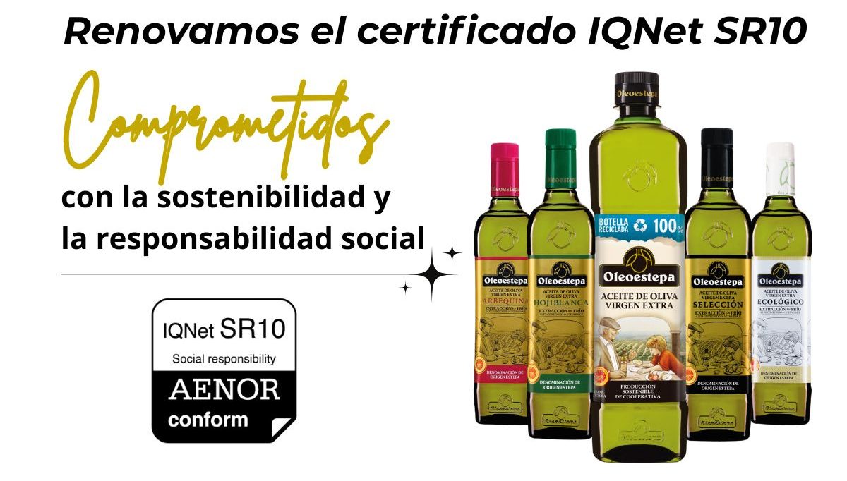Renovación IQNET SR10